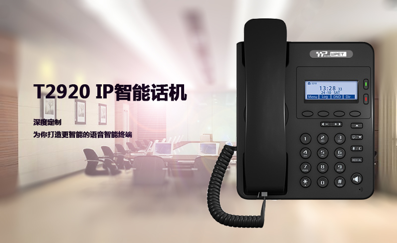 ��T2920����Ԓ�C�aƷ��B